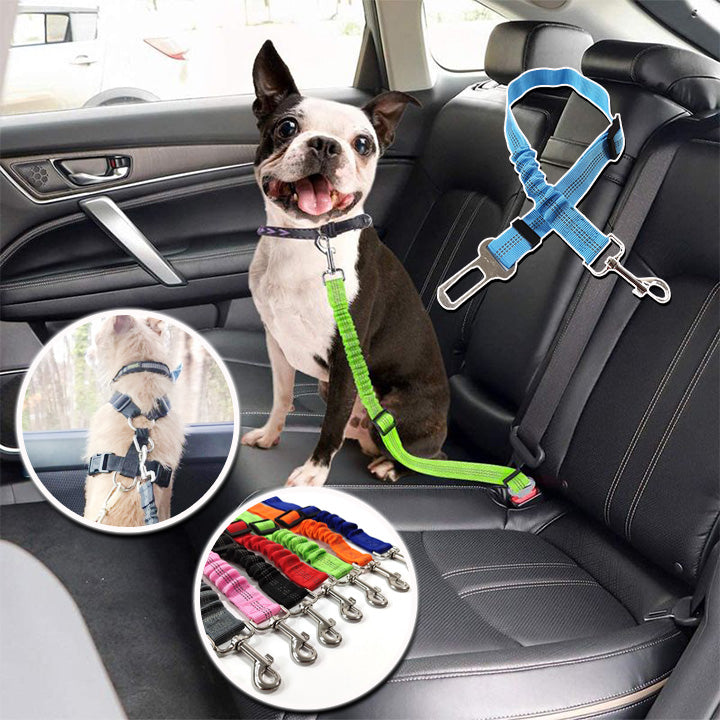 Ceinture de sécurité réglable pour animaux de compagnie